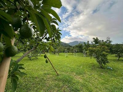 ขาย - บ้าน สตูดิโอ, เชียงใหม่