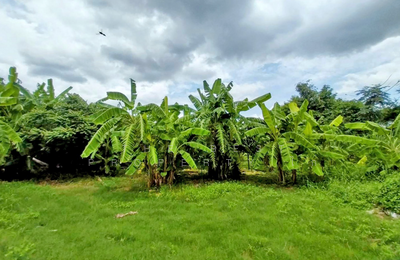 ขาย - ที่ดินมีนบุรี กรุงเทพมหานคร, กรุงเทพ