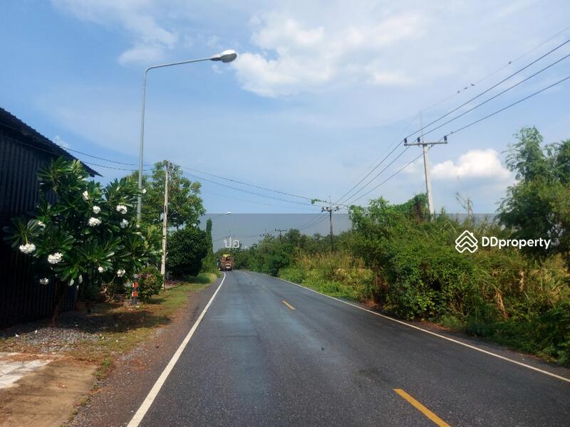 ขาย - ที่ดิน องครักษ์ บางลูกเสือ ซอยองค์การบริหารส่วนจังหวัด นครนายก, นครนายก