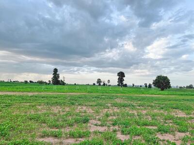 ขาย - ที่ดินเดิมบางนางบวช สุพรรณบุรี, สุพรรณบุรี