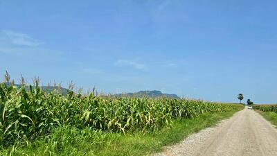 ขาย - ที่ดินตากฟ้า นครสวรรค์, นครสวรรค์