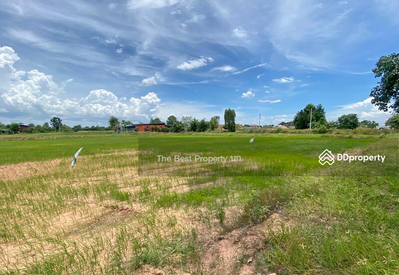 For Sale - ที่ดินโนนศิลา ขอนแก่น, Khon Kaen
