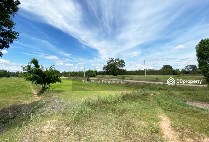 For Sale - ที่ดินโนนศิลา ขอนแก่น, Khon Kaen