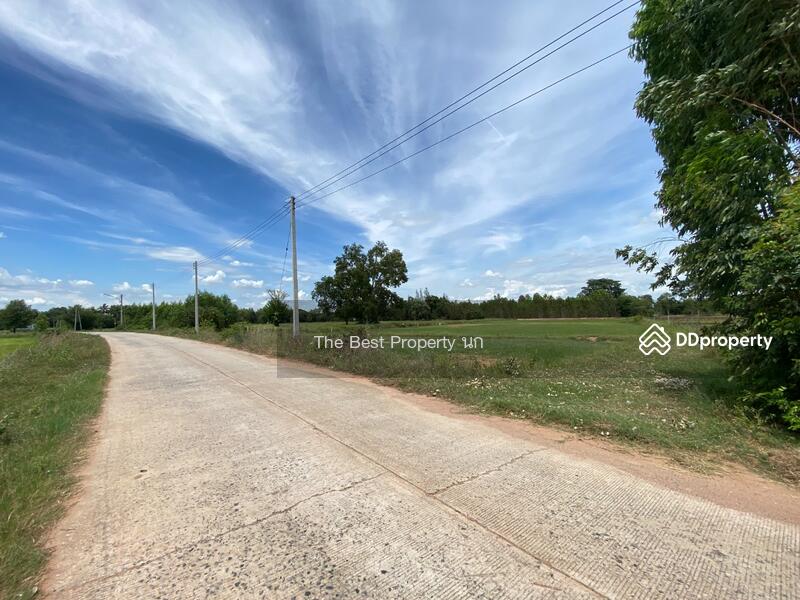 For Sale - ที่ดินโนนศิลา ขอนแก่น, Khon Kaen