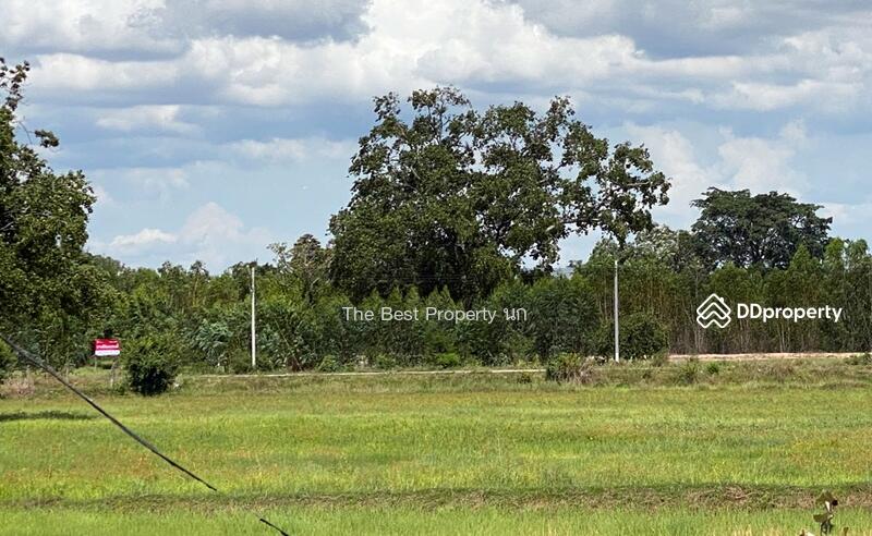 For Sale - ที่ดินโนนศิลา ขอนแก่น, Khon Kaen
