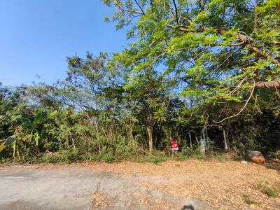 ขาย - ที่ดินบางเลน นครปฐม, นครปฐม