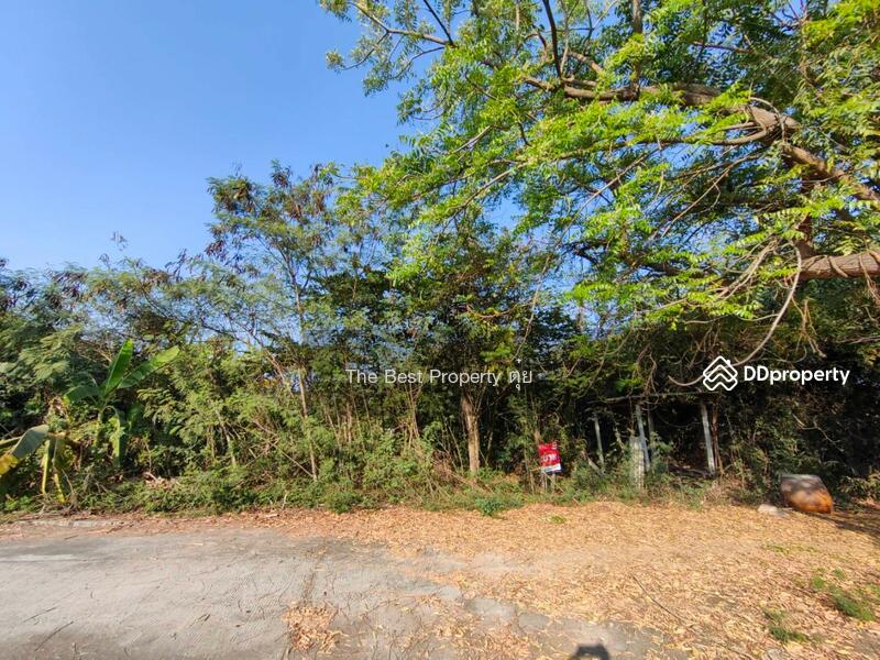 ขาย - ที่ดินบางเลน นครปฐม, นครปฐม