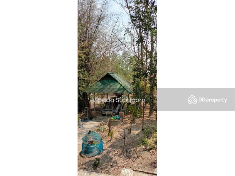 ขาย - บ้าน 2-ห้องนอน, เชียงใหม่