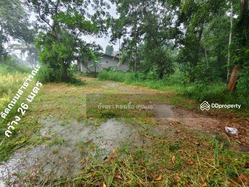 ขาย - ที่ดิน ต.คลองพลู อ.เขาคิชฌกูฏ จ.จันทบุรี, จันทบุรี