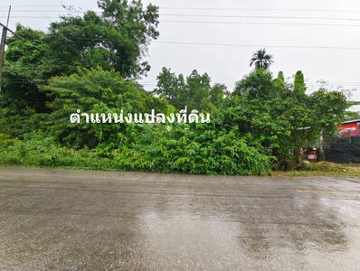 ขาย - ที่ดิน ต.คลองพลู อ.เขาคิชฌกูฏ จ.จันทบุรี, จันทบุรี