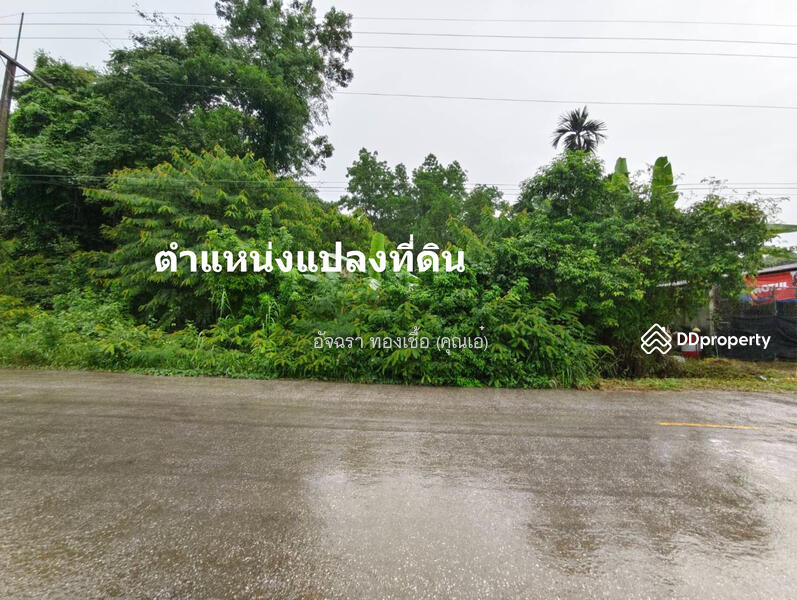 ขาย - ที่ดิน ต.คลองพลู อ.เขาคิชฌกูฏ จ.จันทบุรี, จันทบุรี