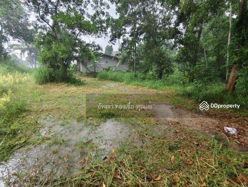 ขาย - ที่ดิน ต.คลองพลู อ.เขาคิชฌกูฏ จ.จันทบุรี, จันทบุรี