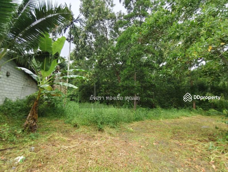 ขาย - ที่ดิน ต.คลองพลู อ.เขาคิชฌกูฏ จ.จันทบุรี, จันทบุรี