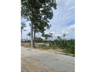 ขาย - ขายที่ดินหนองมะนาว-หนองสะเดา 8 ไร่ ติดนนคอนกรีต ใกล้ท่าเรือแหลมฉบัง-5กม. บางละมุง, ชลบุรี