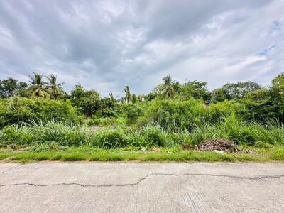 ขาย - ที่ดิน : ท่ามะกา กาญจนบุรี, กาญจนบุรี