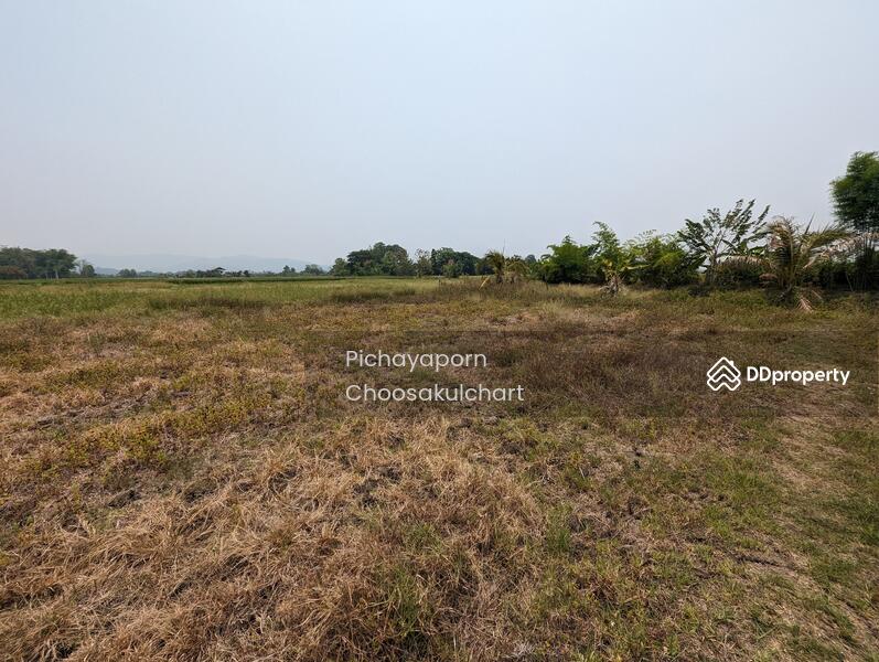 ขาย - 50220, เชียงใหม่