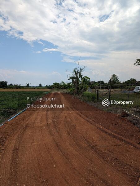 ขาย - 50220, เชียงใหม่