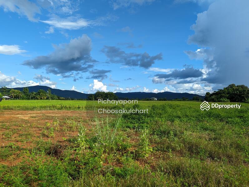 ขาย - 50220, เชียงใหม่