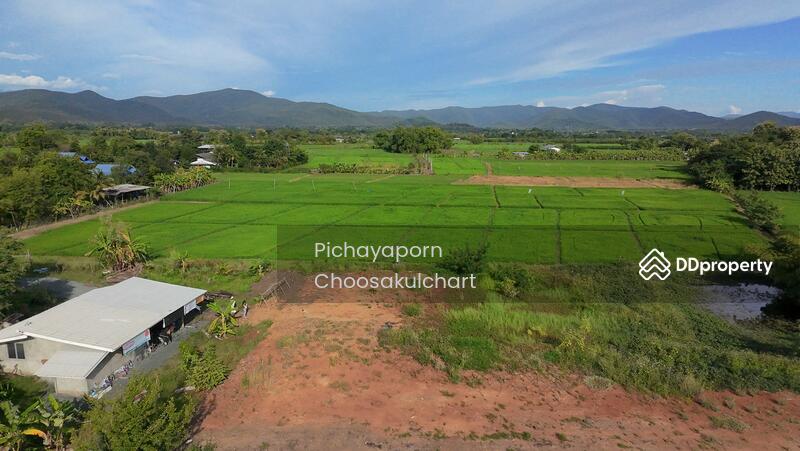 ขาย - 50220, เชียงใหม่