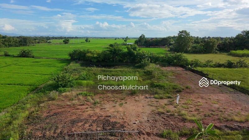 ขาย - 50220, เชียงใหม่