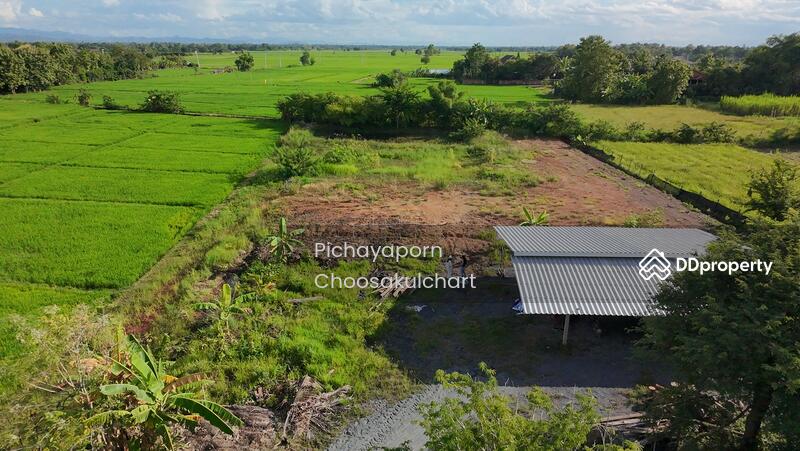 ขาย - 50220, เชียงใหม่