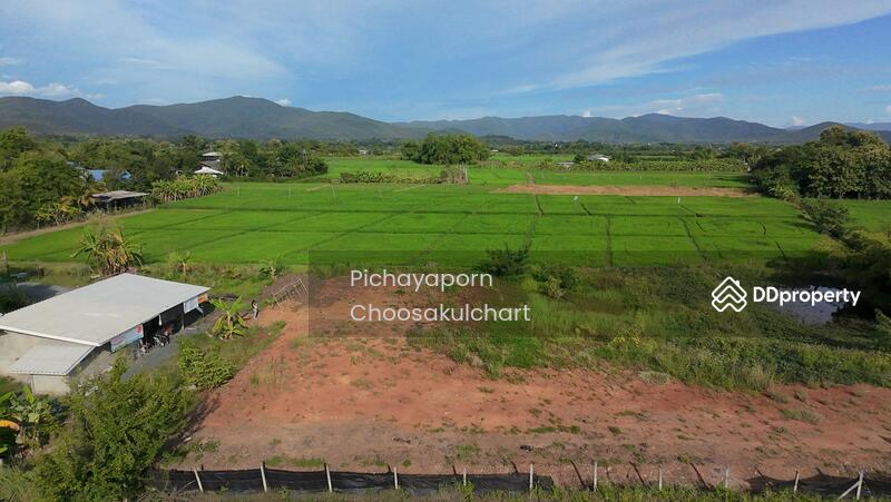 ขาย - 50220, เชียงใหม่