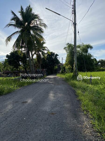 ขาย - 50220, เชียงใหม่