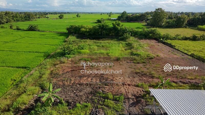 ขาย - 50220, เชียงใหม่