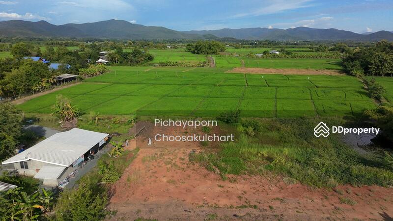 ขาย - 50220, เชียงใหม่