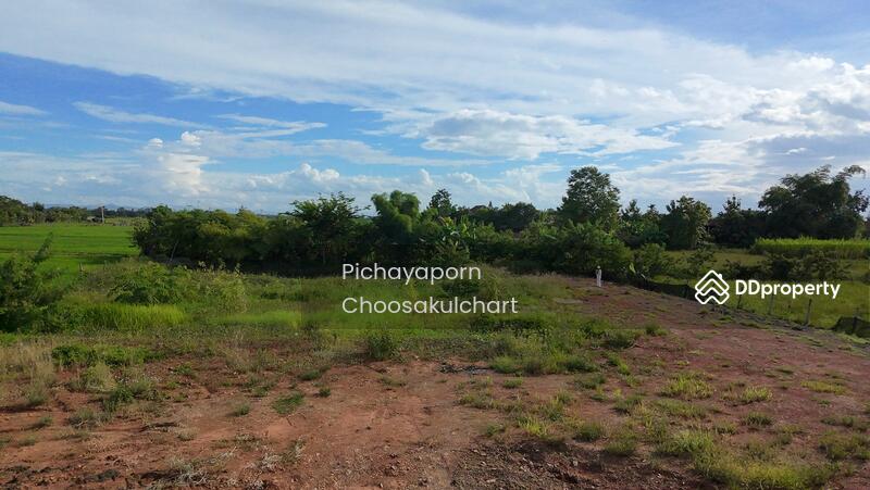 ขาย - 50220, เชียงใหม่