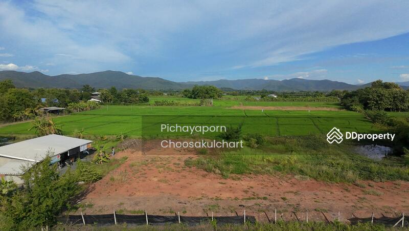 ขาย - 50220, เชียงใหม่