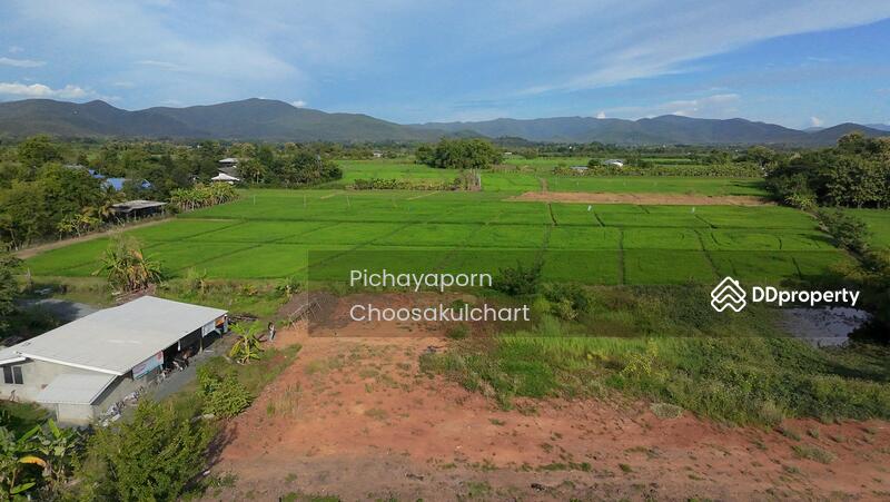 ขาย - 50220, เชียงใหม่