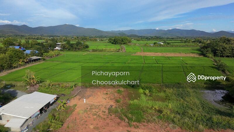 ขาย - 50220, เชียงใหม่