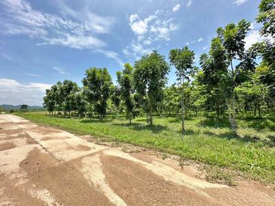 ขาย - ที่ดินศรีสวัสดิ์ กาญจนบุรี, กาญจนบุรี