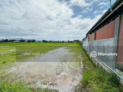 ขาย - ที่ดิน เชียงราย เวียงป่าเป้า ติดน้ำพุร้อนทุ่งเทวี 3-3-35.3 ตร.ว. มีน้ำแร่ใต้แปลงที่ดิน, เชียงราย