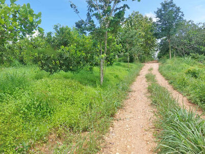 ขาย - ที่ดินท่าปลา อุตรดิตถ์, อุตรดิตถ์