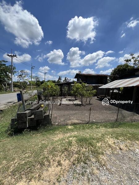 ขาย - อ.บ้านหมอ จังหวัดสระบุรี 18130, สระบุรี