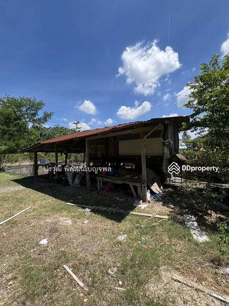 ขาย - อ.บ้านหมอ จังหวัดสระบุรี 18130, สระบุรี
