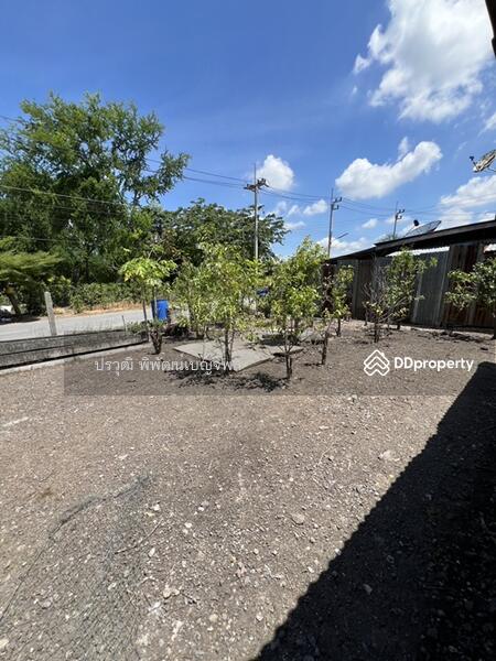 ขาย - อ.บ้านหมอ จังหวัดสระบุรี 18130, สระบุรี