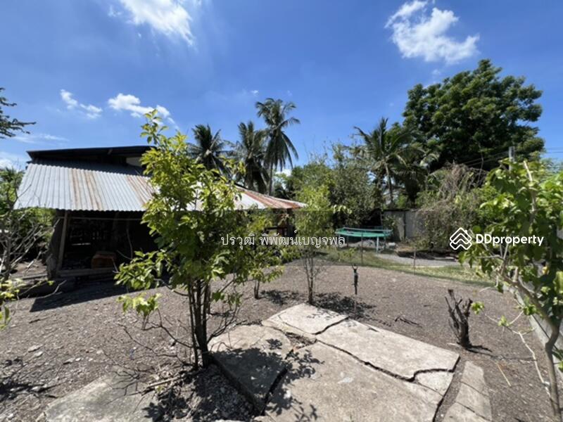 ขาย - อ.บ้านหมอ จังหวัดสระบุรี 18130, สระบุรี