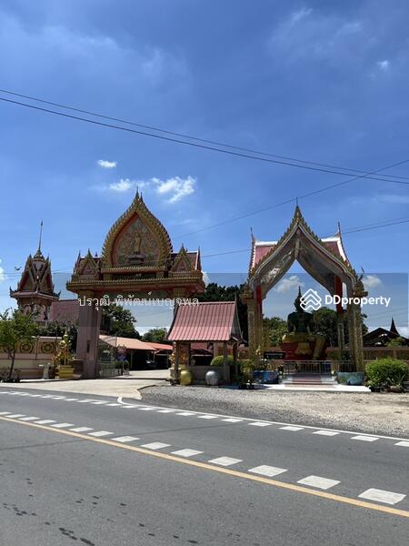 ขาย - อ.บ้านหมอ จังหวัดสระบุรี 18130, สระบุรี
