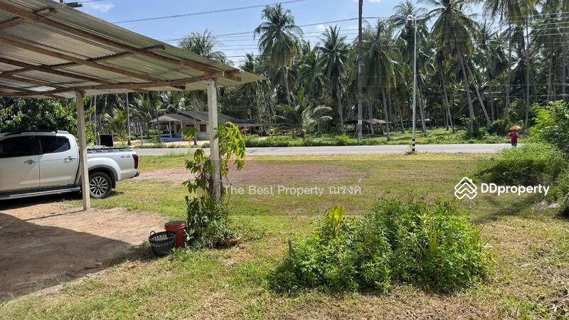 ขาย - ที่ดินบางสะพาน ประจวบคีรีขันธ์, ประจวบคีรีขันธ์