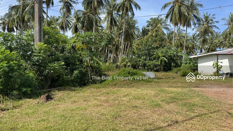 ขาย - ที่ดินบางสะพาน ประจวบคีรีขันธ์, ประจวบคีรีขันธ์