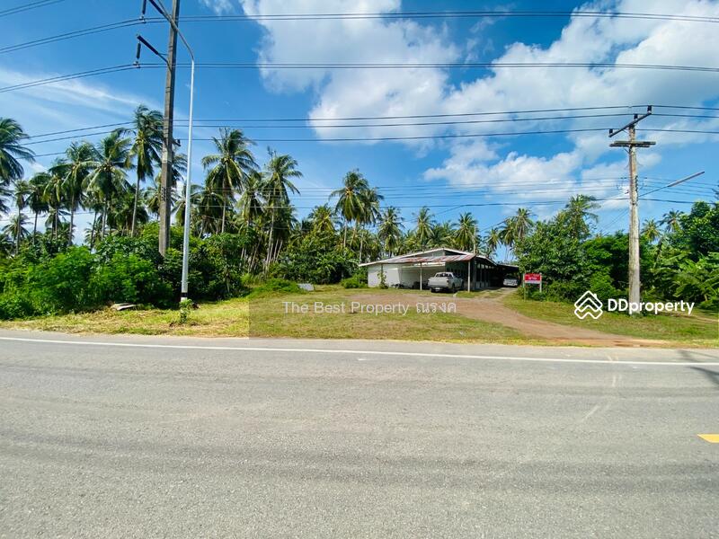 ขาย - ที่ดินบางสะพาน ประจวบคีรีขันธ์, ประจวบคีรีขันธ์