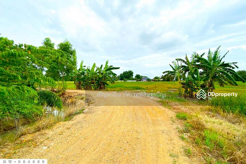For Sale - MW-934629 Land for sale, 5 rai, 337 sq wah, Ang Thong, near Wat Ban Phran, Ang Thong