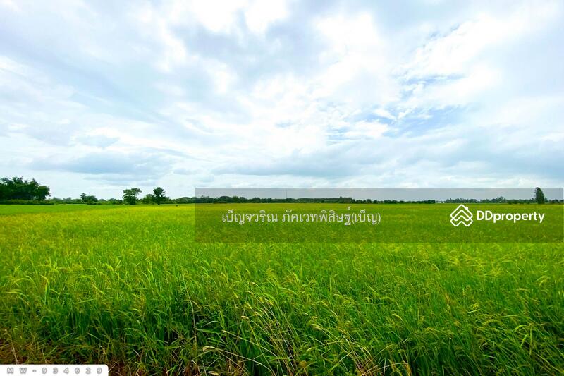 For Sale - MW-934629 Land for sale, 5 rai, 337 sq wah, Ang Thong, near Wat Ban Phran, Ang Thong