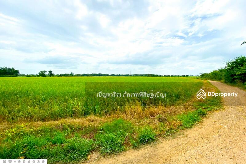 For Sale - MW-934629 Land for sale, 5 rai, 337 sq wah, Ang Thong, near Wat Ban Phran, Ang Thong