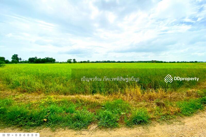 For Sale - MW-934629 Land for sale, 5 rai, 337 sq wah, Ang Thong, near Wat Ban Phran, Ang Thong