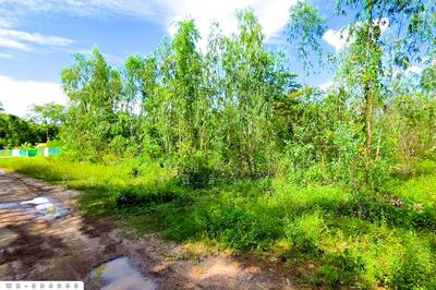 ขาย - WR-994903 ที่ดินหนองนาคำ 15 ไร่ อุดรธานี ใกล้วัดป่าศิริมงคล, อุดรธานี