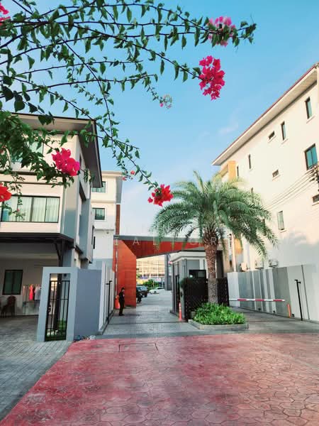 ขาย - The Shelter : เดอะ เชลเตอร์ เพชรเกษม - พุทธมณฑล สาย 5, นครปฐม